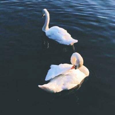 PG麻将胡了免费版app下载