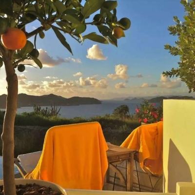 2023年香港资料精准手机app下载