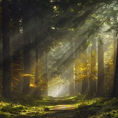 竞猜足球appapp下载