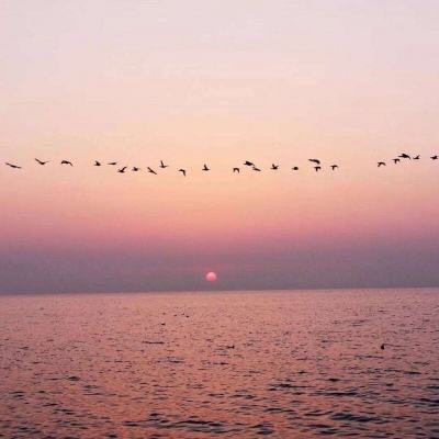 2023年香港资料精准手机app下载