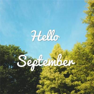 江南app手机app下载