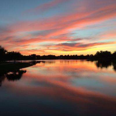 万博(ManBetx)手机app下载