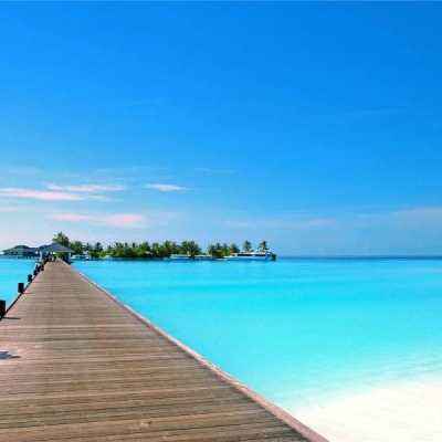 安博体育手机app下载