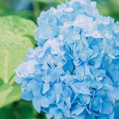 乐虎国际下载手机版