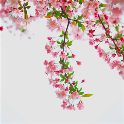 AG官方登陆入口